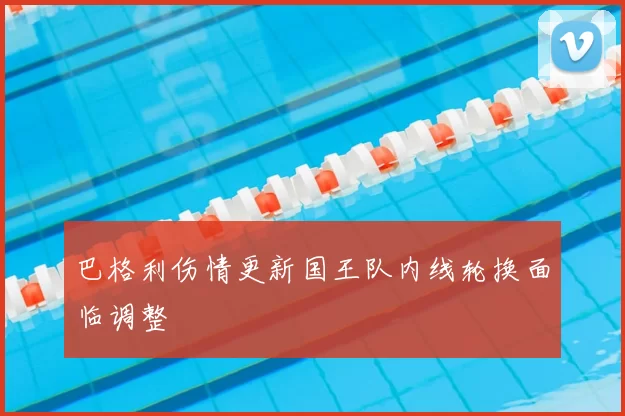 巴格利伤情更新国王队内线轮换面临调整
